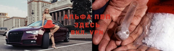 бошки Ельня