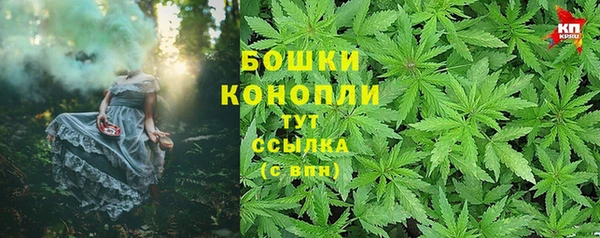 бошки Ельня