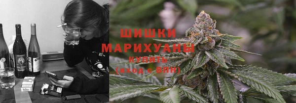 бошки Ельня